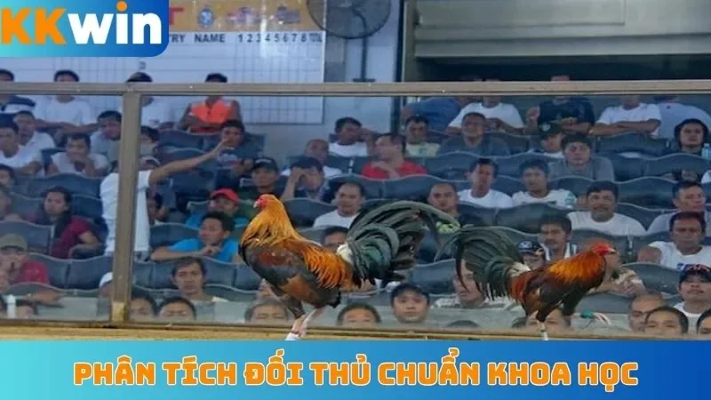 Phân tích đối thủ chuẩn khoa học