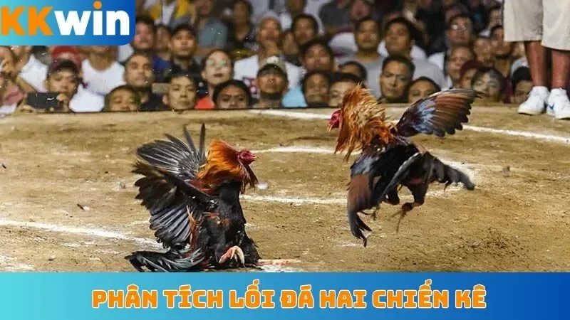 Phân tích lối đá hai chiến kê